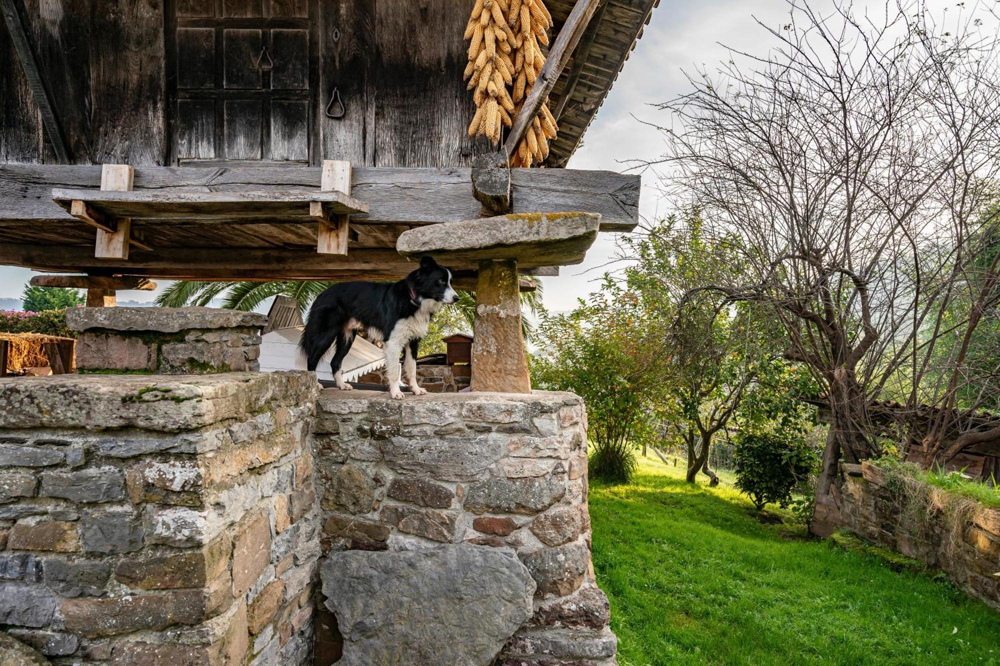 Maison d'hôtes La Casina Del Fresnu à Onon Extérieur photo